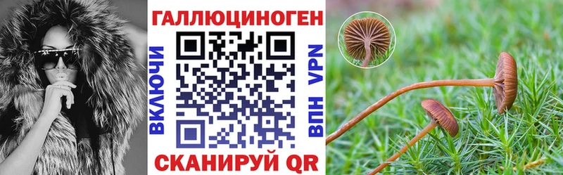 Псилоцибиновые грибы MAGIC MUSHROOMS сколько стоит Троицк